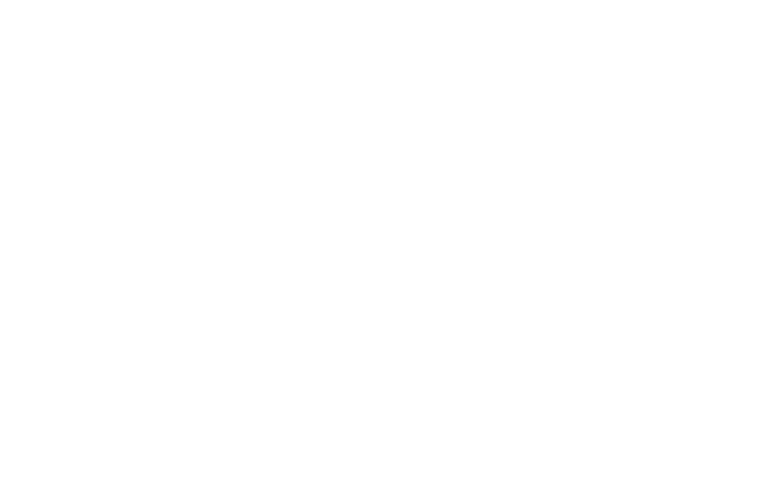 Yassin Pellicer Lamla